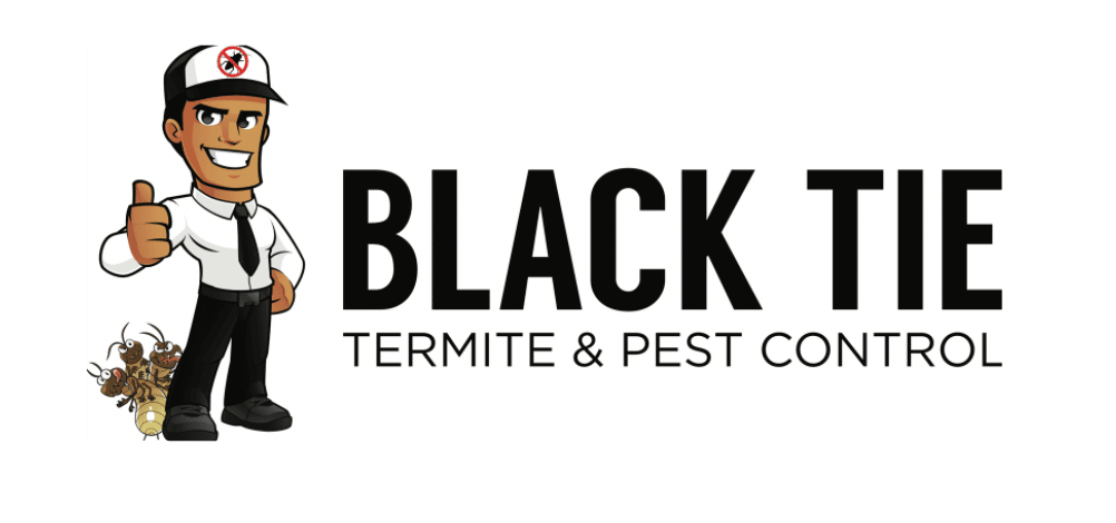 Black Tie Pest Control logo from web 5 2026 Black Tie Pest Control logo from web 5 2026
